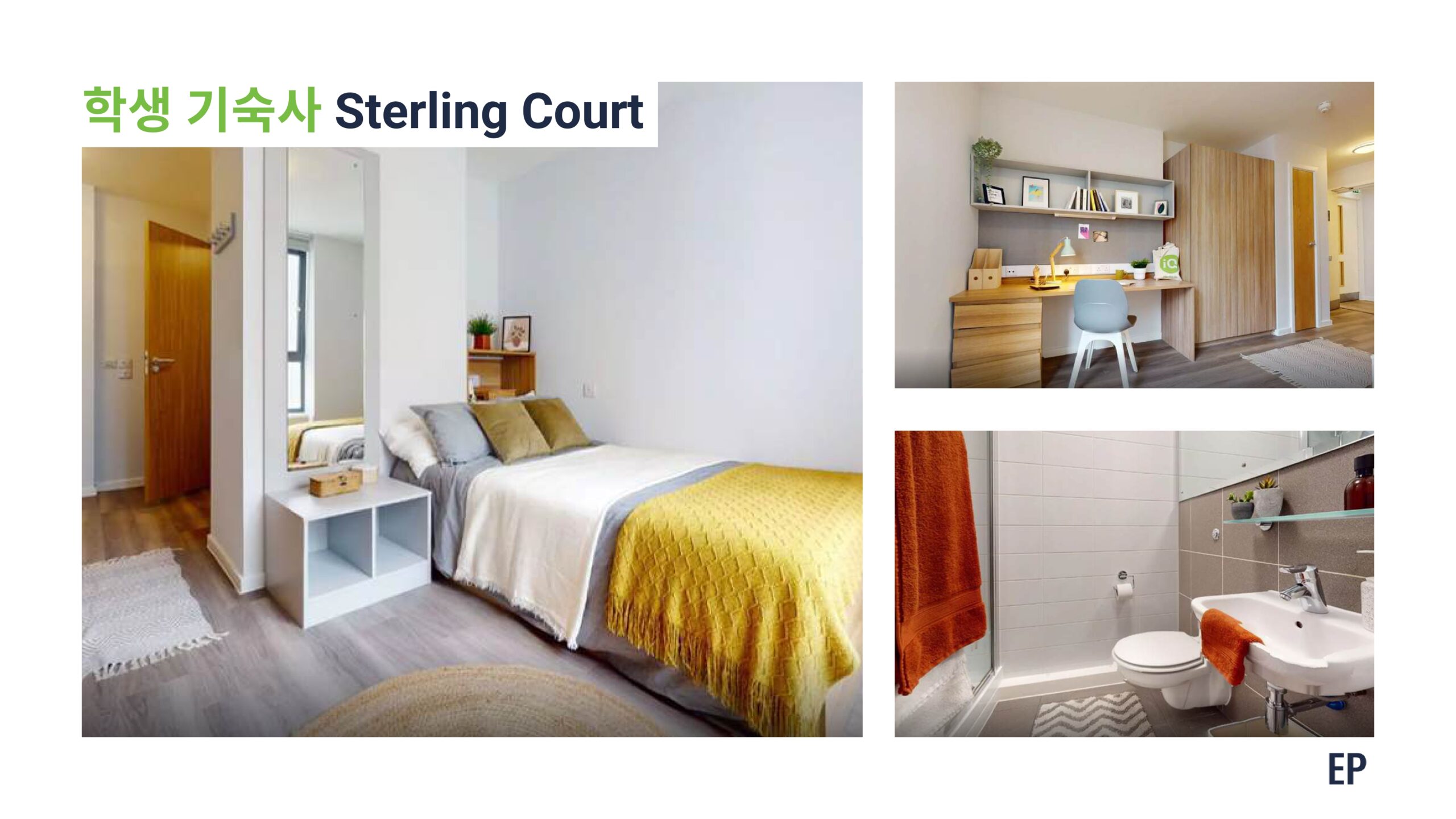Sterling Court 기숙사 1인실 침대·책상·전용 욕실 사진