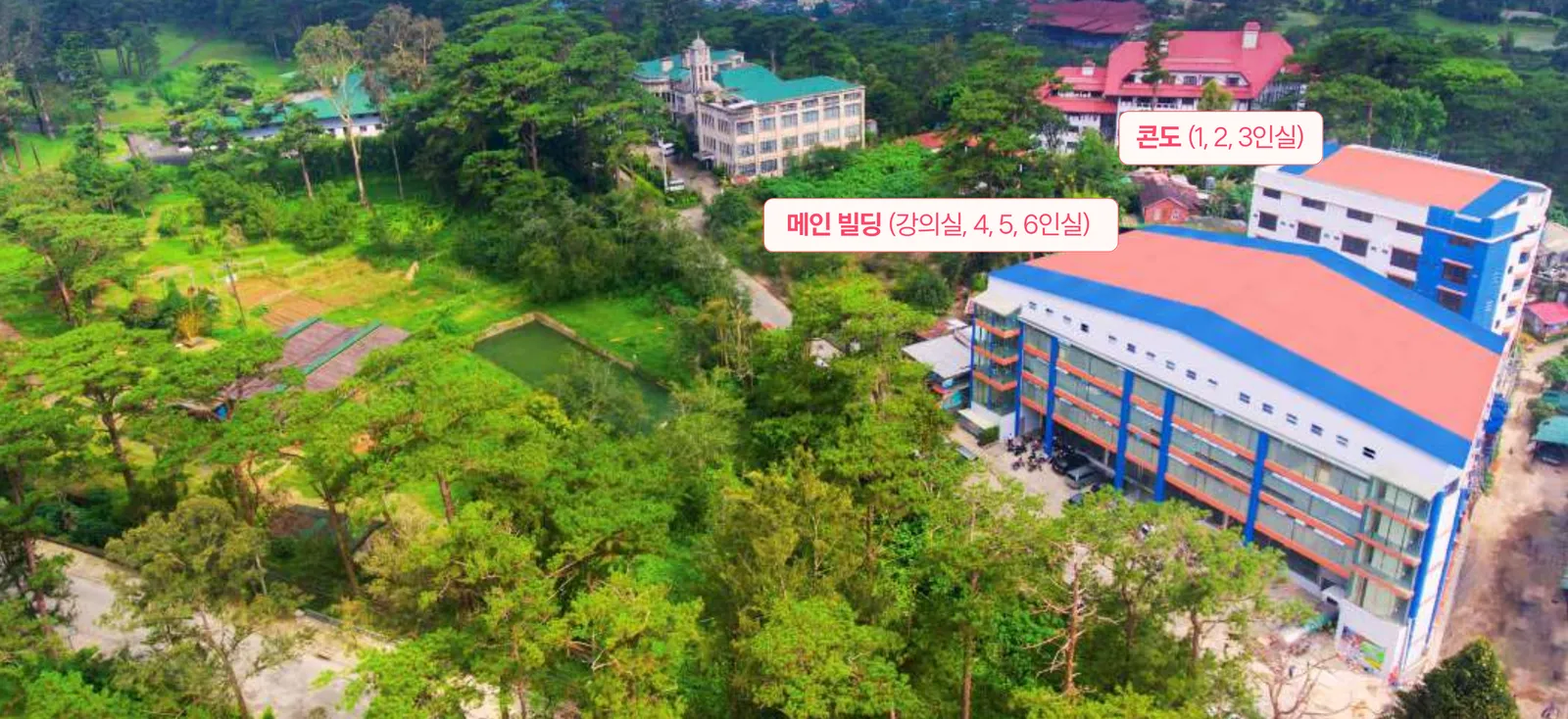 숲에 둘러싸인 파인스 어학원 메인 빌딩과 언덕 위 콘도 기숙사 항공 사진
