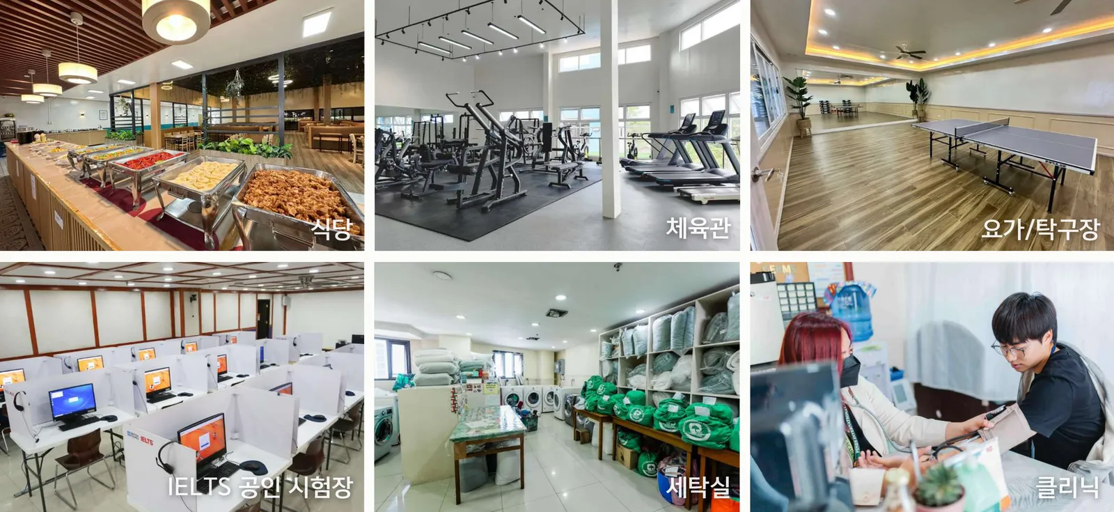 파인스 식당·체육관·요가실·IELTS 시험장·세탁실·클리닉 여섯 장면