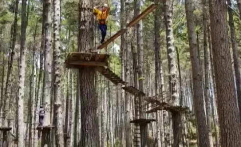 숲속 로프 코스 Tree Adventure