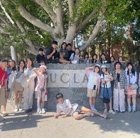 UCLA 캠퍼스 나무 아래 모인 학생들